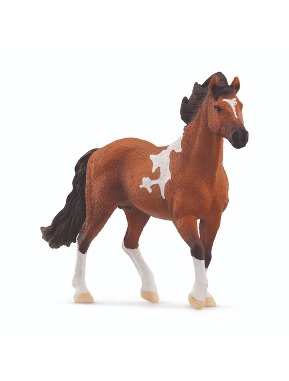 Schleich 13978 Mangalarga Marchador Stallion