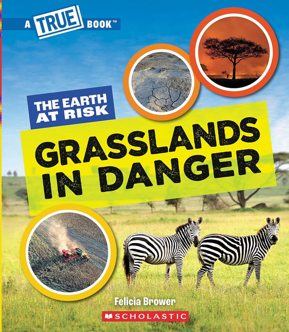 Grasslands in Danger (A True Book: The Earth at Risk)