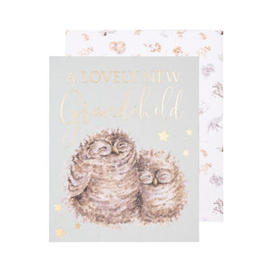 Baby Card Owl New Grandparents "Words of Wisdom"