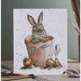 All Occasion Card - The Flower Pot Rabbit