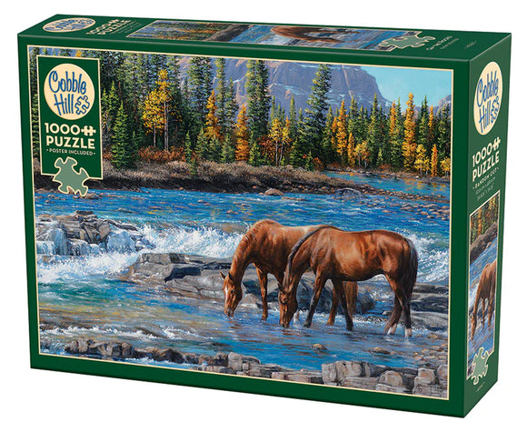 Cobble Hill 1000pc Puzzle 40267 On The Rocks