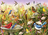 Cobble Hill 1000pc Puzzle 40228 Feathered Friends