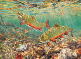 Cobble Hill 1000pc Puzzle 40182 Brook Trout