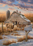 Cobble Hill 1000pc Puzzle 40147 Rural Route